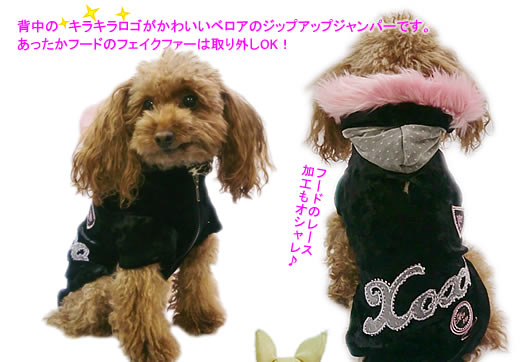 ウエストの水玉ラインもかわいいボーダーニットのワンピース！