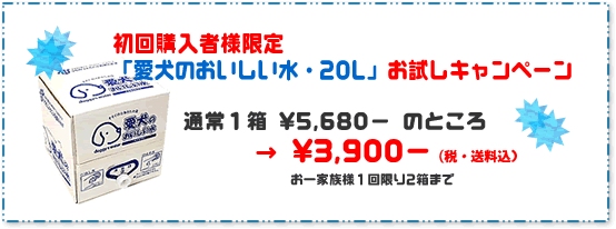 初回購入者限定!お試しキャンペーン!!