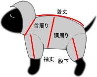 サイズ表