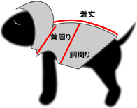 サイズ表