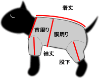 サイズ表