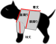 サイズ表
