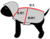 サイズ表