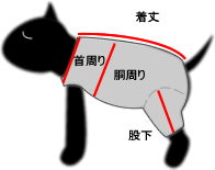 サイズ表