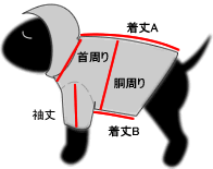 サイズ表