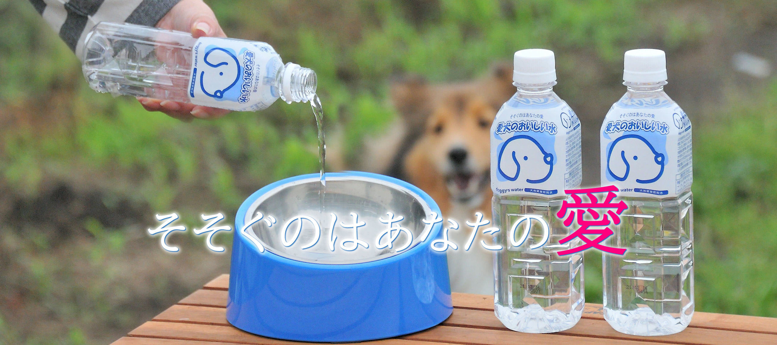 愛犬のおいしい水 犬の飲料水 ペット宿ドットコムショップ